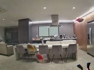 voyeurcam casa salsa fishtank